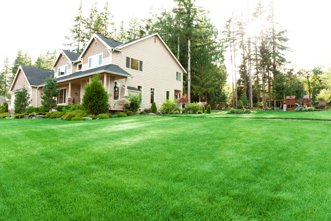 Beautiful suburban home with green lawn